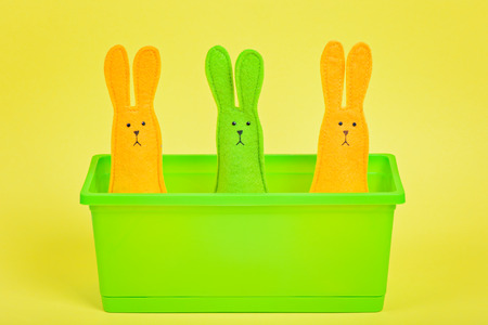 Three easter Bunnies in flower potの写真素材