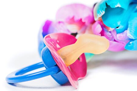Pacifier with multicolored tulipsの写真素材