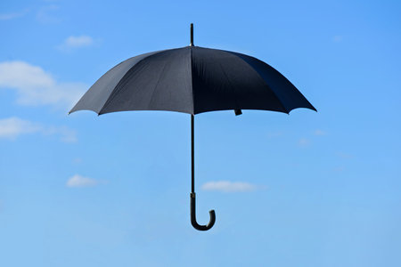 Black umbrella