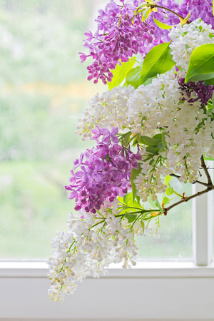Lilac bouquet in vase near windowの写真素材