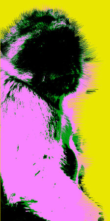 Picture with ape over yellow background