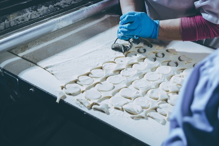 process making buuza meat factory hinkali baoziの写真素材