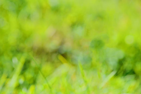 Green blur background