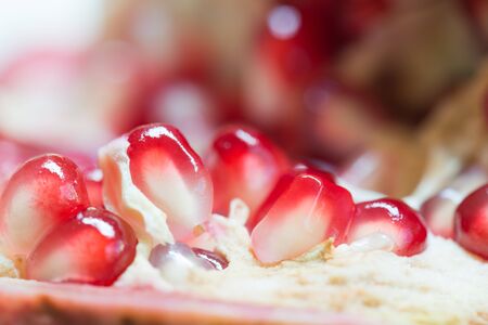 Macro shooting of fresh juicy pomegranate grainsの写真素材