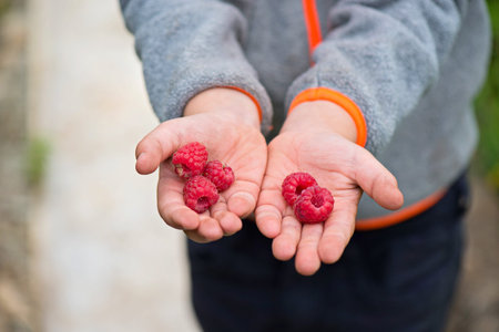 A handful of beautiful fresh raspberry on a hands