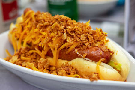 Homemade hot dog with Cheddar cheese and onionsの写真素材