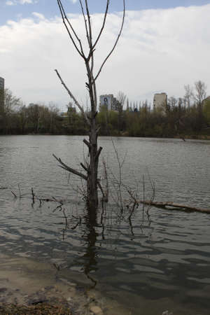 Polluted lake at cityの写真素材