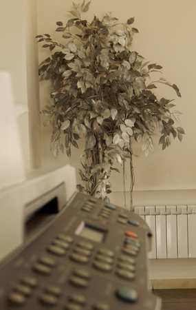 Artificial silver tree in modern office