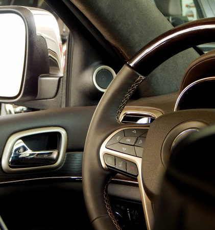 Controls on the multifunction steering wheel