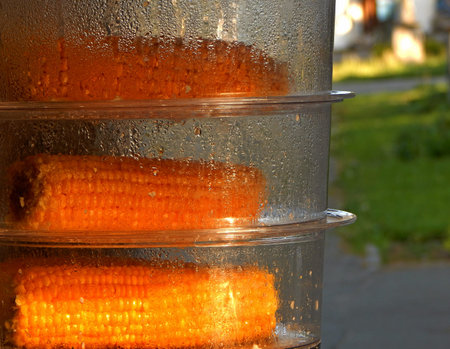 Outdoor food. Corn cobs in cooking steamer