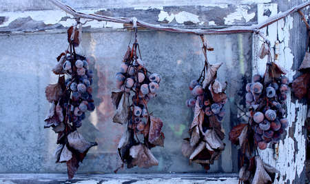 Frozen grapes over old wooden plankの写真素材