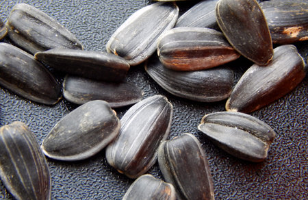 Sunflower seeds on black background macro shot