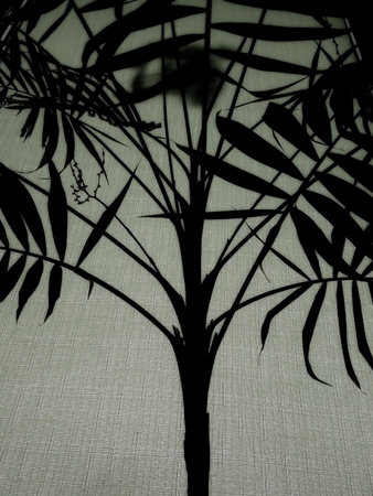 Silhouette of palm tree and leaves on green fiber texture background