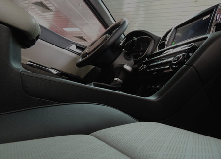 Colored elements of leather upholstery on car seats