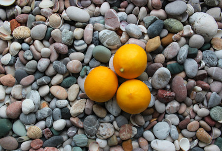 Pattern Of Sea Stones Mixed With Small Shells And Three Whole Citrus Fruitsの写真素材