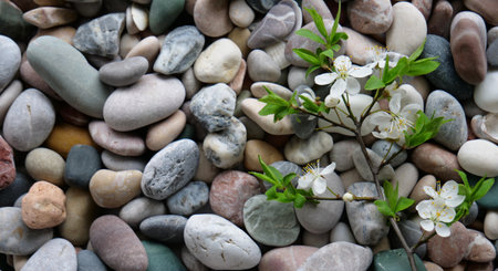 Branch With White Cherry Flowers And Soft Leaves On A Colored Stones Texture Backgroundの写真素材