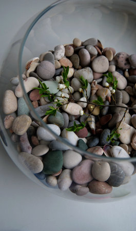 Unopened flowers on a torn branch inside a closed glass sphere with stones as a symbol of environmental protectionの写真素材