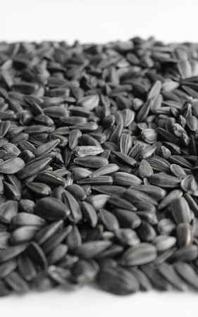 Laid out in an even layer sunflower seeds fried with salt on a white surfaceの写真素材