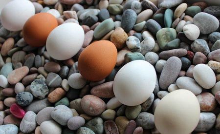 Whole Colorful Eggs In A Straight Line On A Smooth Rocks Angle View Stock Photoの写真素材
