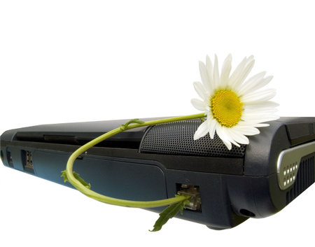 Flowers to the beloved sent through the Internet. Imagination.の写真素材