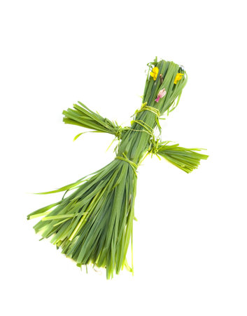 Children's toy from a green grassの写真素材