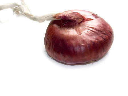 Red onions on a white backgroundの写真素材