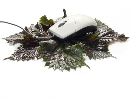 Breakfast of the computer mouse. A jokeの写真素材