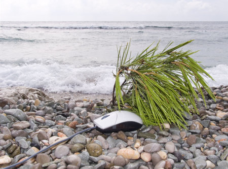 The computer mouse has a rest on a sea beach near to a branch of a pineの写真素材
