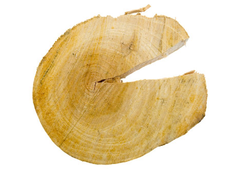 Background an isolated cut of a treeの写真素材