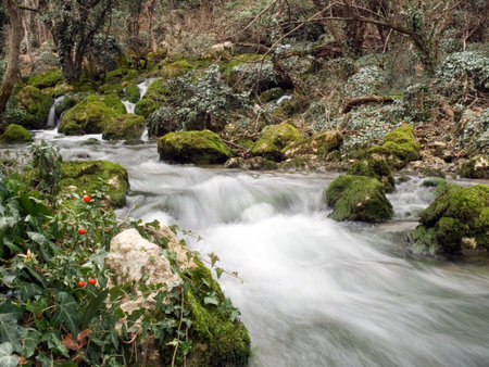 Falls on the small mountain river in a woodの写真素材