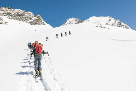 People ascending a mountain on skies in line, Ankogel, Austriaの写真素材
