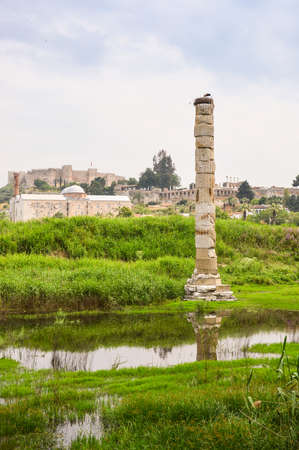Flooded ruins of the Temple of Artemis, one of the Seven wonders of the ancient world, Selcuk, Turkeyの写真素材