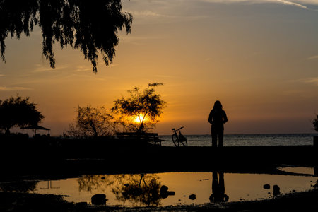 Silhouette of a person standing on beach at dusk. Reflection in the water.