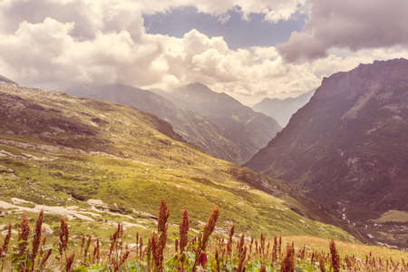 Alpine valley. Grass covering mountain slopes, Monte Rosa region.の写真素材