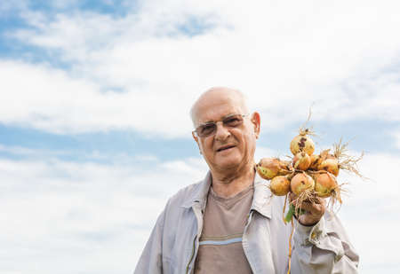 Senior man holding onions. Farmer enjoying the harvest.の写真素材