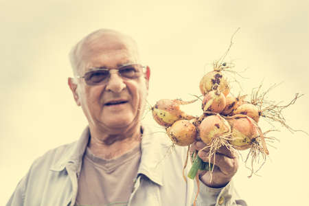 Senior man holding onions. Farmer enjoying the harvest.の写真素材