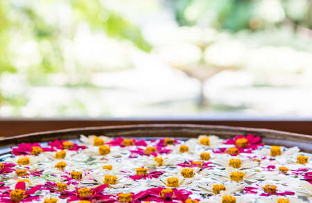 Flowers floating in water. Room with inviting decoration and garden view.の写真素材