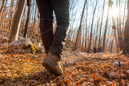 Closeup of trekking shoes. Person walking in autumn forest.