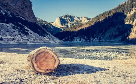 Frozen mountain lake. Tree log laying on a shore.の写真素材