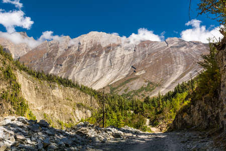 Huge mountain massif. Flat slope rising above forest at Annapurna circuit in Nepal.の写真素材