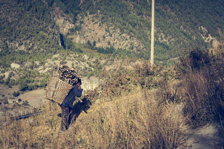 Farmer carrying firewood. Nepali carrying basket of cooking firewood.の写真素材