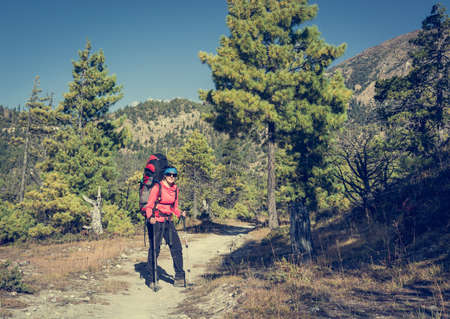 Yount femela trekker on her way through mountain forest. Annapurna circuit.の写真素材