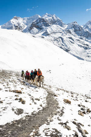 Thorong La, Nepal - October 16: Tourists riding horses to pass high mountain pass at 5416 m, on October 2016 at Annapurna region in Nepla.のeditorial素材