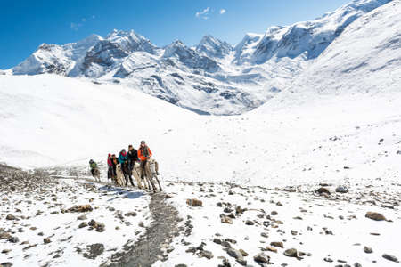 Thorong La, Nepal - October 16: Tourists riding horses to pass high mountain pass at 5416 m, on October 2016 at Annapurna region in Nepla.のeditorial素材