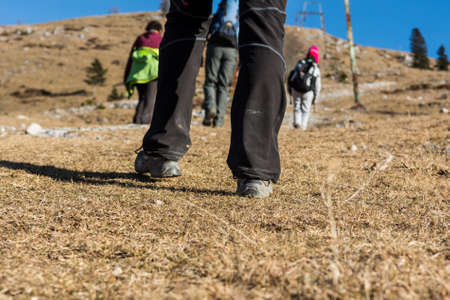 Closeup of female legs hiking in nature.の写真素材