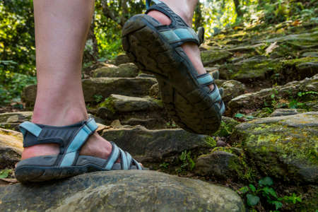 Closeup of female legs wearing sandals ascending forest staircase.の写真素材