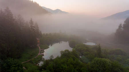 Morning mists rising above forest lake.の写真素材