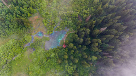 Aerial view of a forest with lake.の写真素材