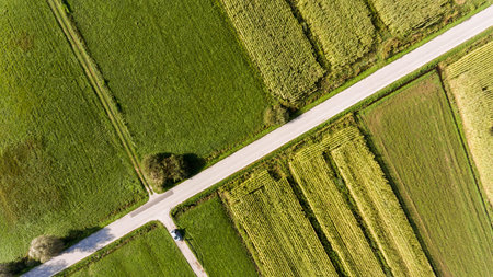 Top view of fields.