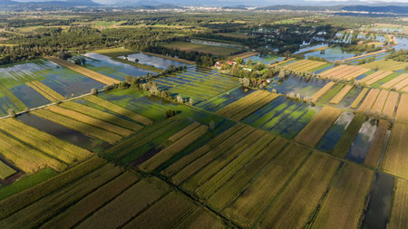 Aerial view of flooded fields.の写真素材